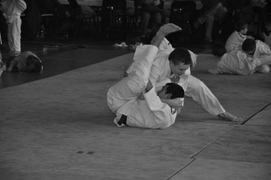 dsc-0953.jpg